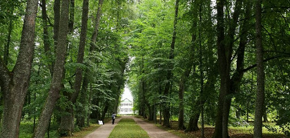 Аллея в заповеднике Пушкинские Горы, Россия
