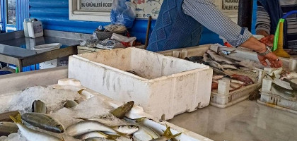 Свежая рыба на рынке Бодрума