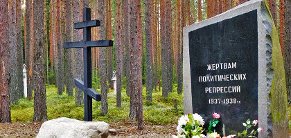 Красный бор в Карелии