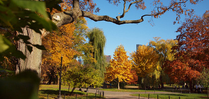 Бостон-коммон, центральный общественный парк в Бостоне