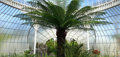Ботанический сад Глазго, тропическая коллекция