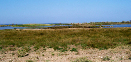 Остров Тузла, ландшафт