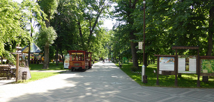 Чистяковская роща в Краснодаре