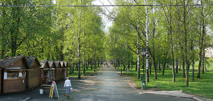 Одна из аллей Кремлёвского парка в Великом Новгороде