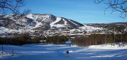 Гейло