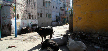 Бедный квартал в Джодхпуре