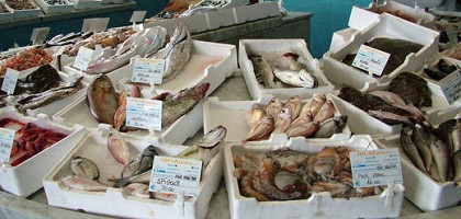Свежие морепродукты в Террачина