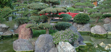 Вид на Японский сад в Монте-Карло