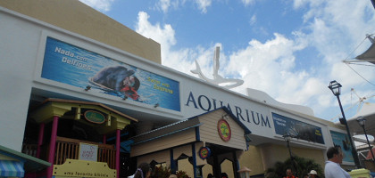 Интерактивный аквариум в Канкуне, вход