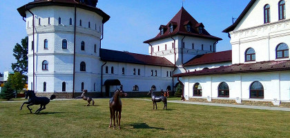 Территория конного парка «Русь»
