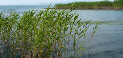 Вид на озеро Тайху