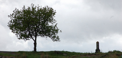 Одинокое дерево, Вардзиа
