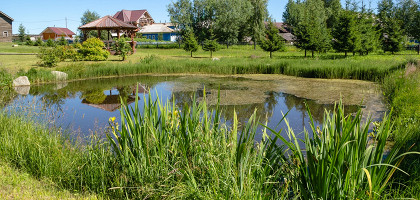Небольшой искусственный пруд в летний день в Ломоносово