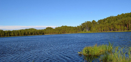 Парк Осиновая роща, Глухое (Круглое) озеро