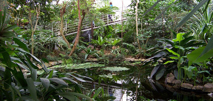 Ботанический сад в Теплице, тропическая оранжерея