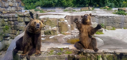 Калининградский зоопарк