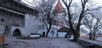 Сад датского короля