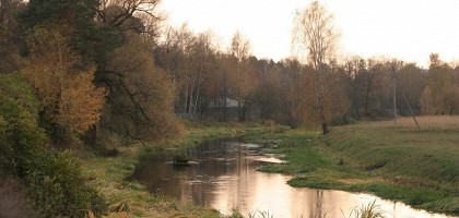Речка в Любимовке