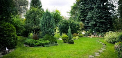 Ботанический сад ТвГУ