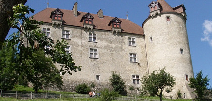 Замок Грюйер, Лозанна
