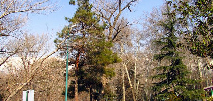 Осень в музее-заповеднике Саадабад в Тегеране