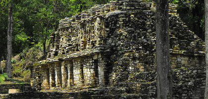 Величественные руины Майя