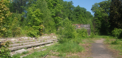 Осиновая роща, дворец Вяземских, руины