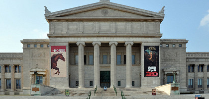 Филдовский музей естественной истории, Чикаго