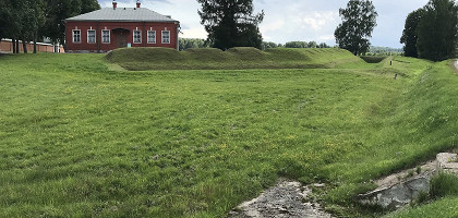 Северная Багратионова флеш