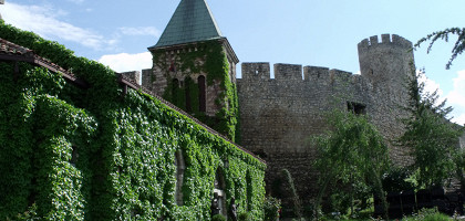Ружица