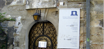Башня дураков в Вене, вход в Патологоанатомический музей
