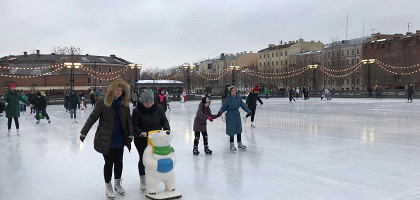 Каток, Новая Голландия