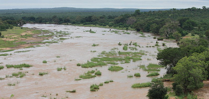 Река Olifants в Национальном парке Крюгера