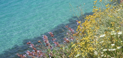 Цветы на диком побережье, Кушадасы
