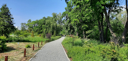 Аллеи Ботанического сада, Самара