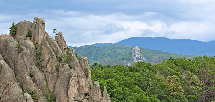 Парк Драконов, Приморский край