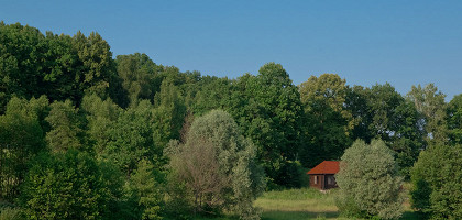 Природа Тульской области