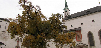 Дворик замка Хоэнзальцбург, Зальцбург