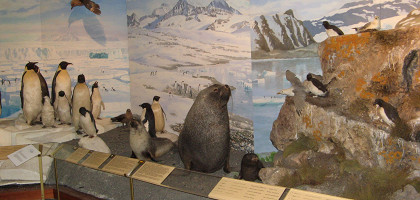 Имитация северного полюса в музей Фрама, Осло, Норвегия
