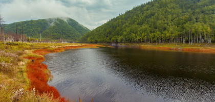 Зейский заповедник, Амурская область