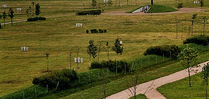 Сологубовка-Лезье, немецкое воинское кладбище