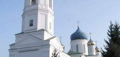 Храм Святых и праведных Богоотца Иоакима и Анны в селе Долгое, Курская область