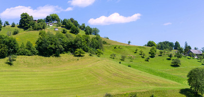 Добрна, Словения, окресности