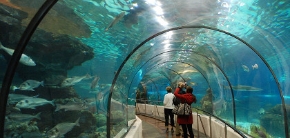 Аквариум Барселоны, подводный стеклянный туннель
