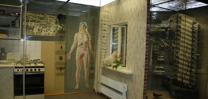 Современное жилище человека, музей Дарвина, Москва