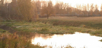 Природа, Любимовка