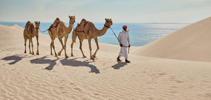Внутреннее море Катара, пустыня и верблюды