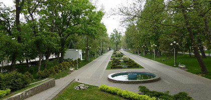 Городской сад (парк им. М. Горького) в Краснодаре