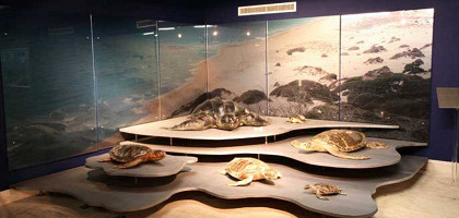 Музей моря «Таласса»