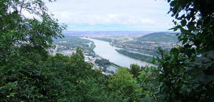 Дунай, Вена